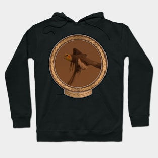 Valoo in Flight #3 Hoodie